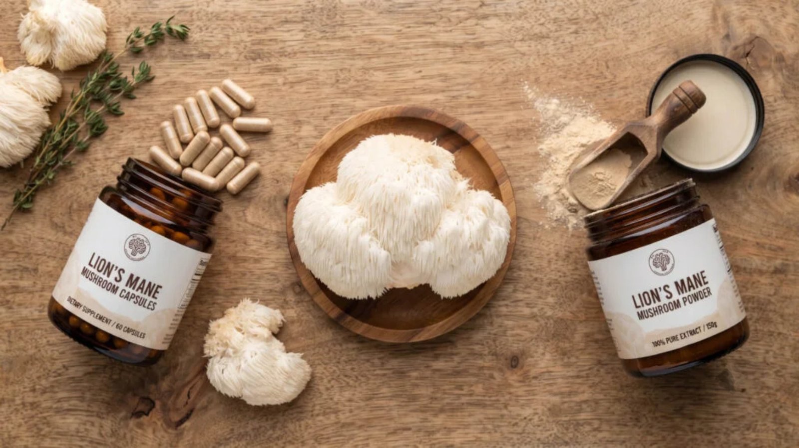 Lion's Mane Mushroom